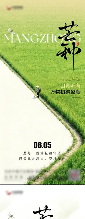 芒种节气系列海报