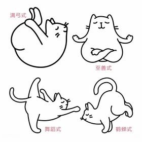 瑜珈猫