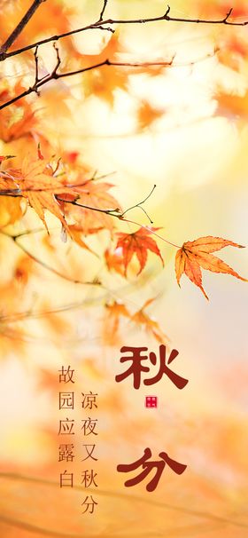 秋分海报柿子24节气二十四节气季