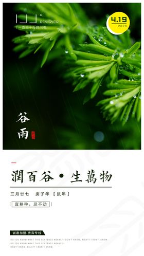 谷雨节气海报