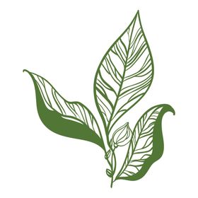 清新绿植