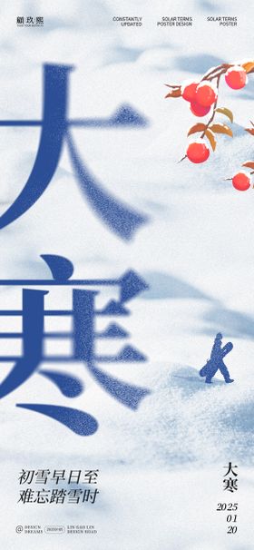 大寒节气海报二十四简约地产冬天
