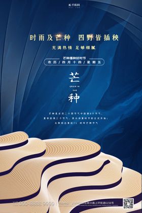 芒种节气纹理蓝色质感流体海报
