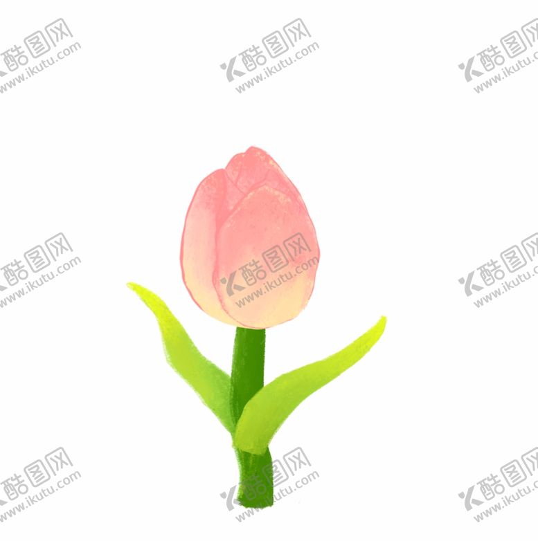 编号：60260601281211541894【酷图网】源文件下载-一只粉色水彩郁金香