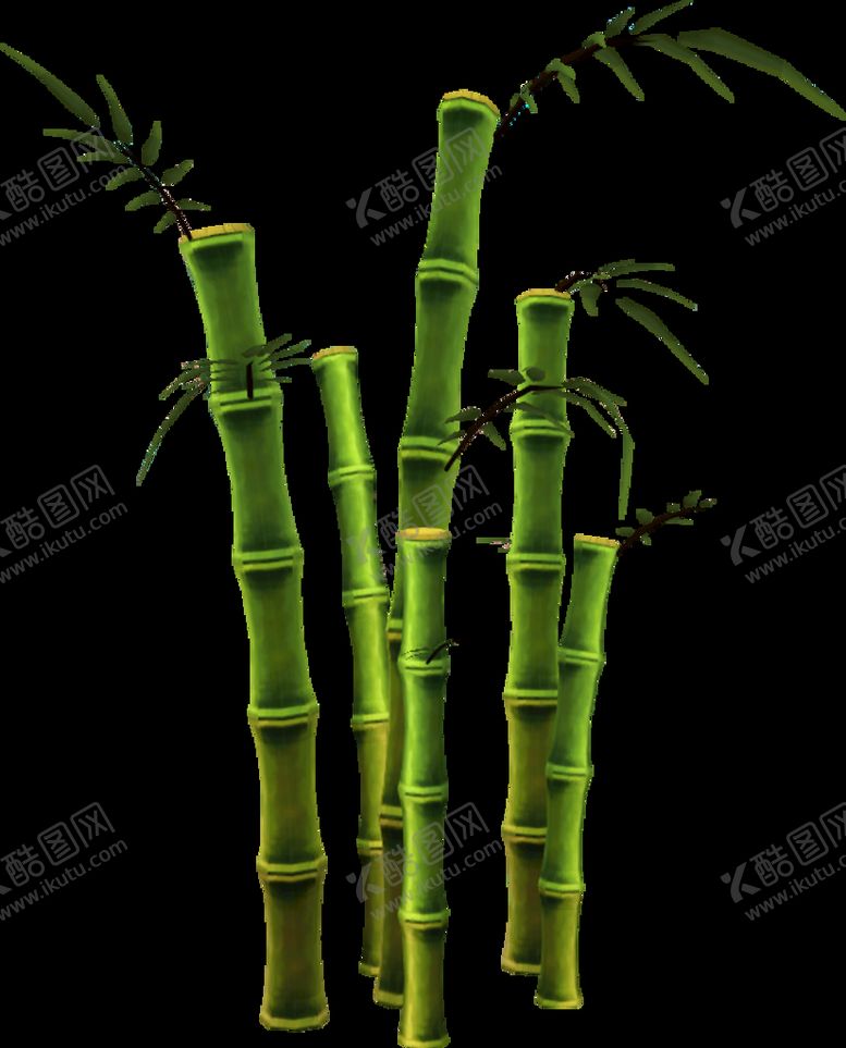 编号：33899210170639444473【酷图网】源文件下载-竹子 图片 竹叶 png  手