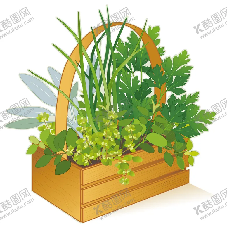 编号：79829706271337043866【酷图网】源文件下载-绿色植物