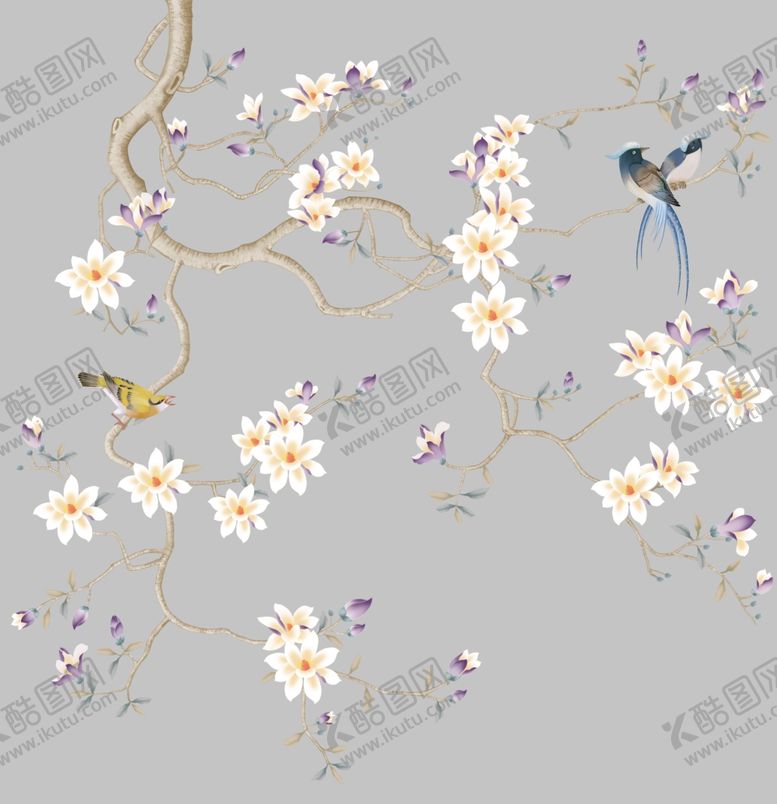 编号：52360809240713384120【酷图网】源文件下载-工笔画玉兰花