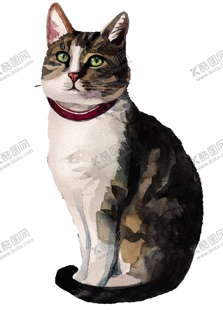 编号：32082202111418313170【酷图网】源文件下载-猫 