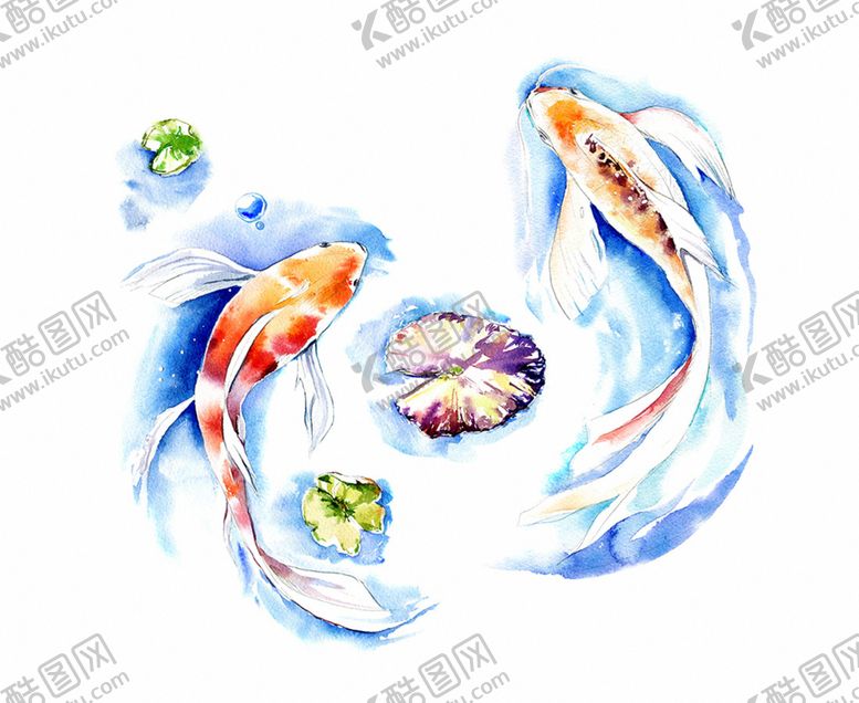 编号：21971407070025138538【酷图网】源文件下载-海洋鱼类水彩插画