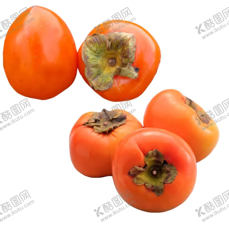 编号：41221902220613042129【酷图网】源文件下载-柿子