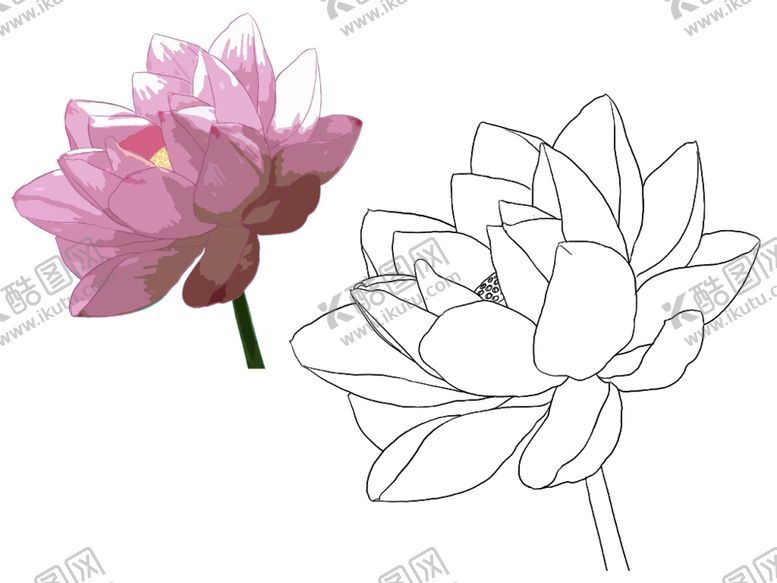 编号：59666409191439138212【酷图网】源文件下载-花卉素描