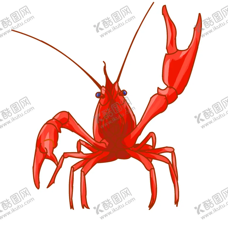 编号：45541003020109567516【酷图网】源文件下载-龙虾绘画插图图片