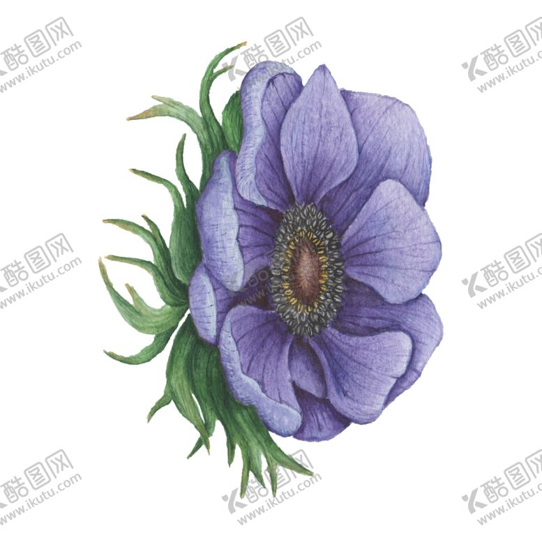 编号：15963802150924538784【酷图网】源文件下载-手绘植物花草