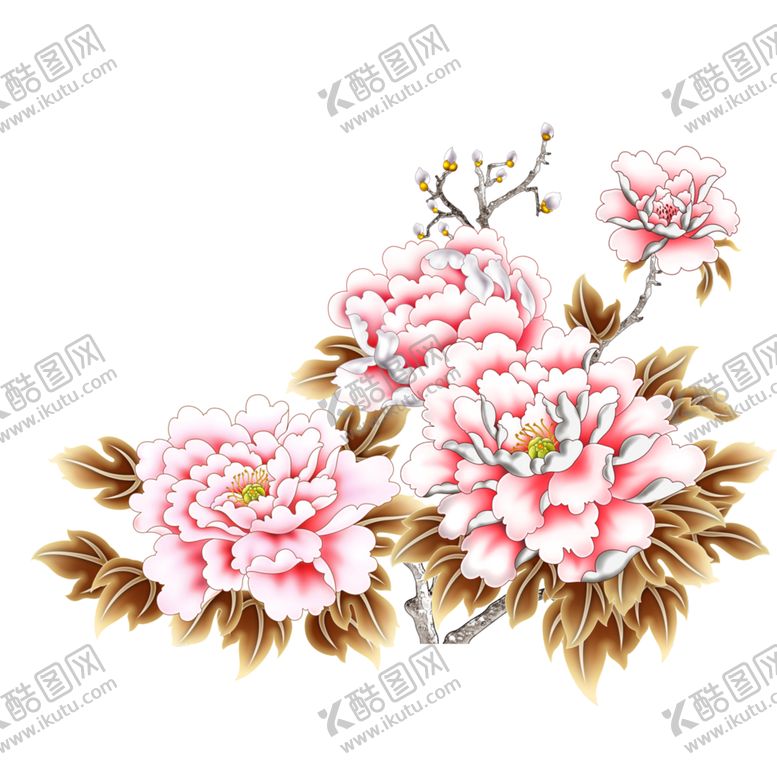 编号：63121510042025163451【酷图网】源文件下载-牡丹花