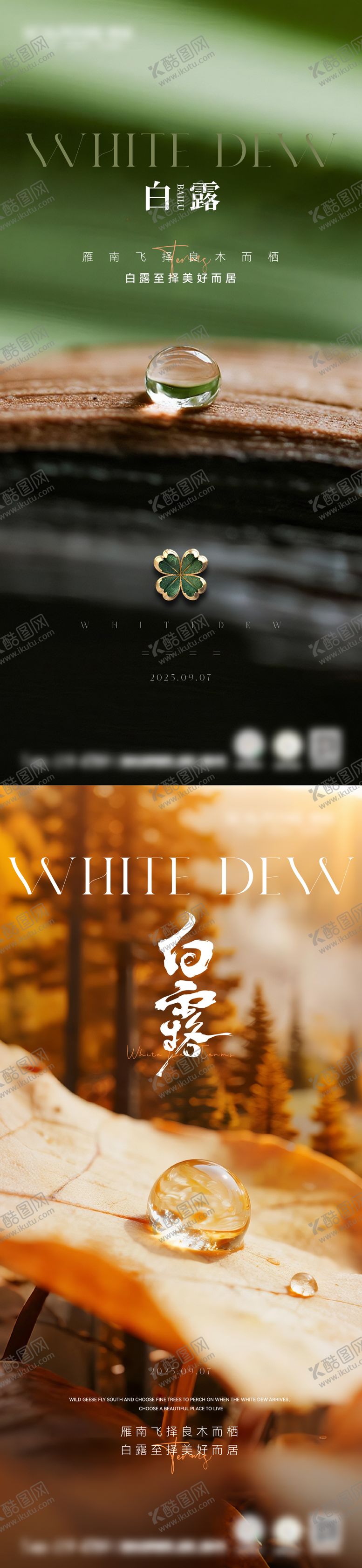 编号：69308509051115153810【酷图网】源文件下载-白露节气海报