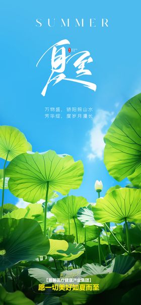 简约小清新ins风夏至节日海报