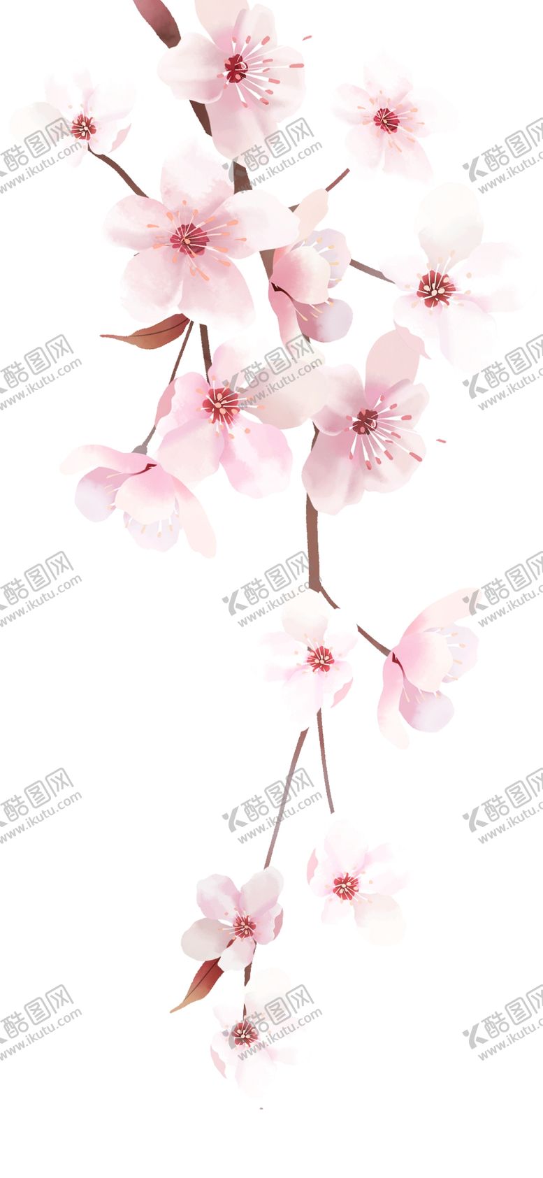 编号：69703605112036338375【酷图网】源文件下载-桃花