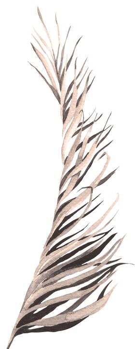 北欧小清新水彩植物图案