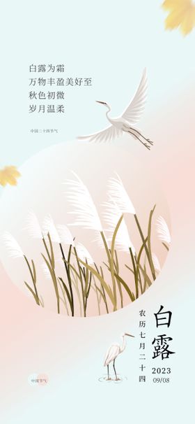 白露海报插画地产二十四节气