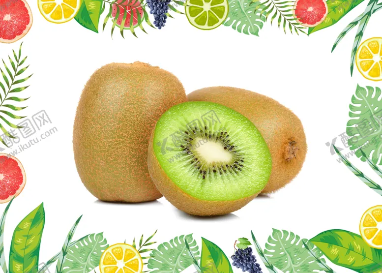 编号：65121509101036247721【酷图网】源文件下载-猕猴桃
