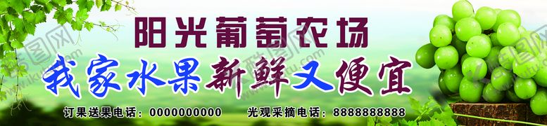 编号：14879010021446483491【酷图网】源文件下载-葡萄农场