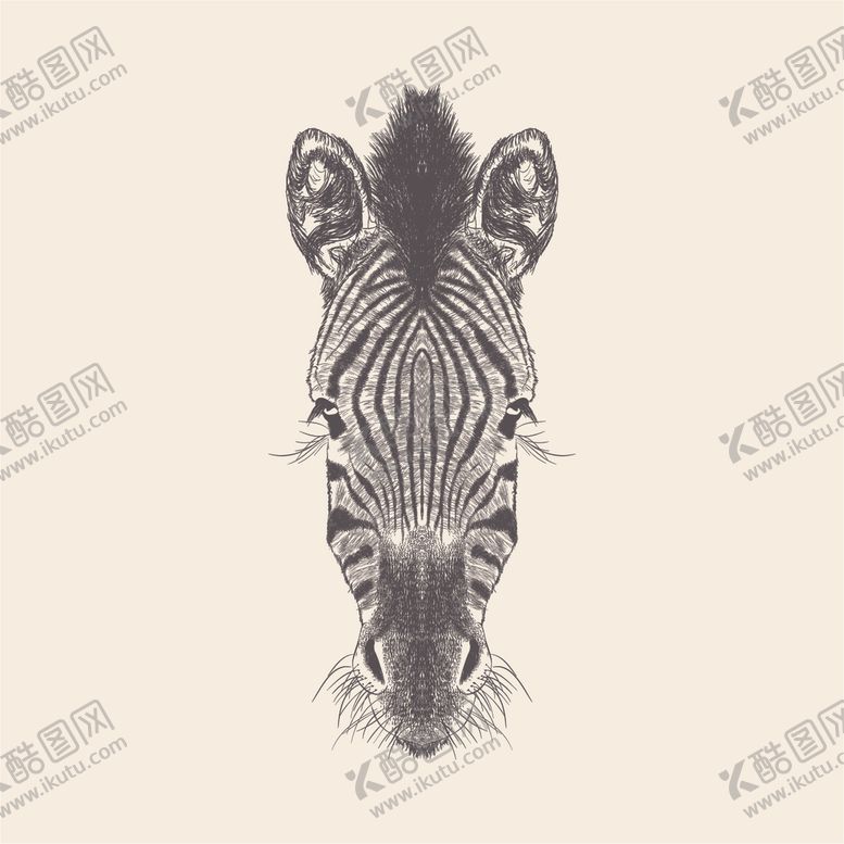 编号：91458510290842523292【酷图网】源文件下载-动物铅笔画