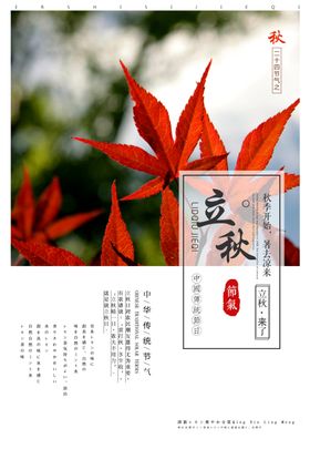 立秋插画