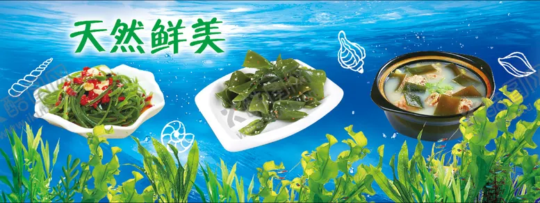 编号：67812009242035443786【酷图网】源文件下载-海带