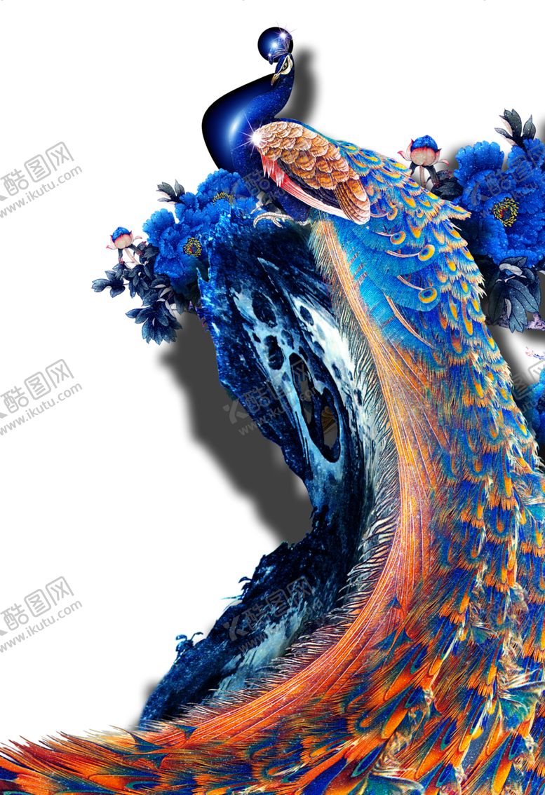 编号：94227807020844473534【酷图网】源文件下载-孔雀