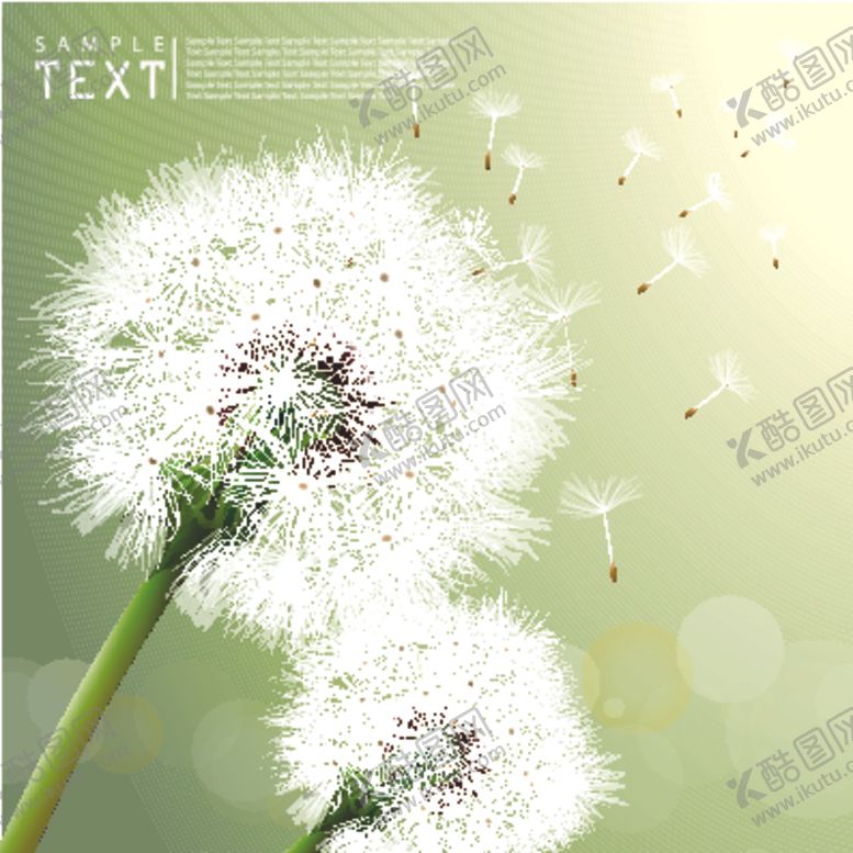 编号：97784509280356428549【酷图网】源文件下载-卡通蒲公英