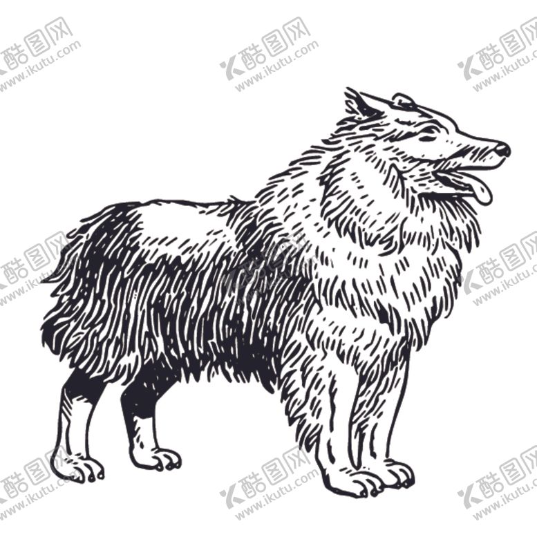 编号：65290909211220244022【酷图网】源文件下载-家禽动物线稿绘画图案