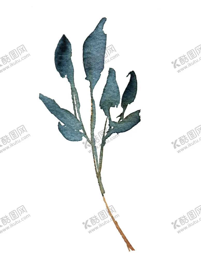 编号：35965701311158511490【酷图网】源文件下载-花叶 