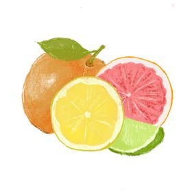 橘子西柚柠檬水果插画素材
