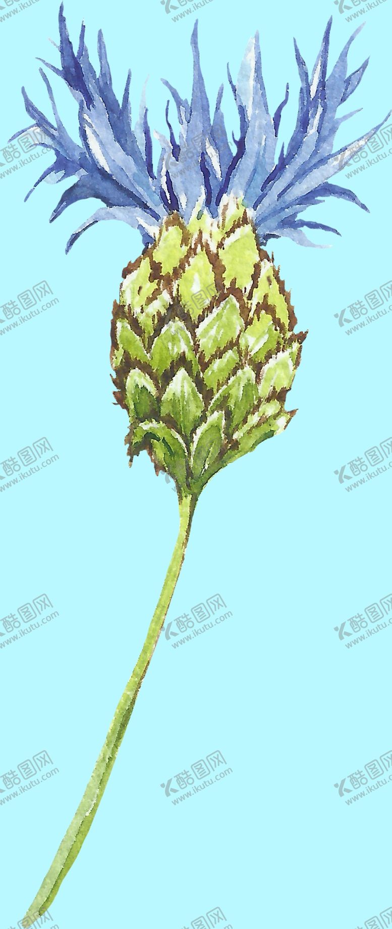 编号：64777709230845224513【酷图网】源文件下载-花卉树叶