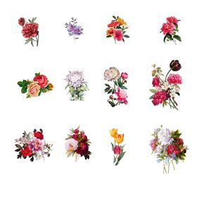 花鲜花玫瑰