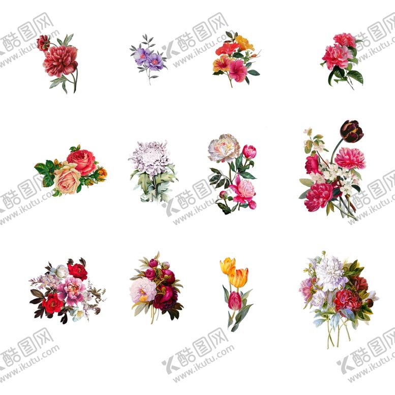 编号：51943605100822287512【酷图网】源文件下载-花鲜花玫瑰