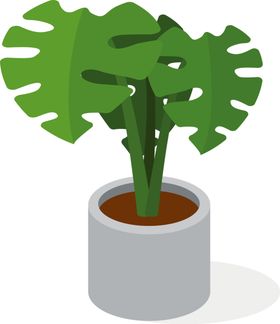 绿色相框