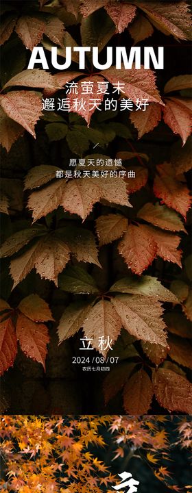 立秋节气系列海报