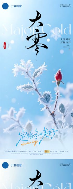 大寒小寒节气梅花冰封系列海报