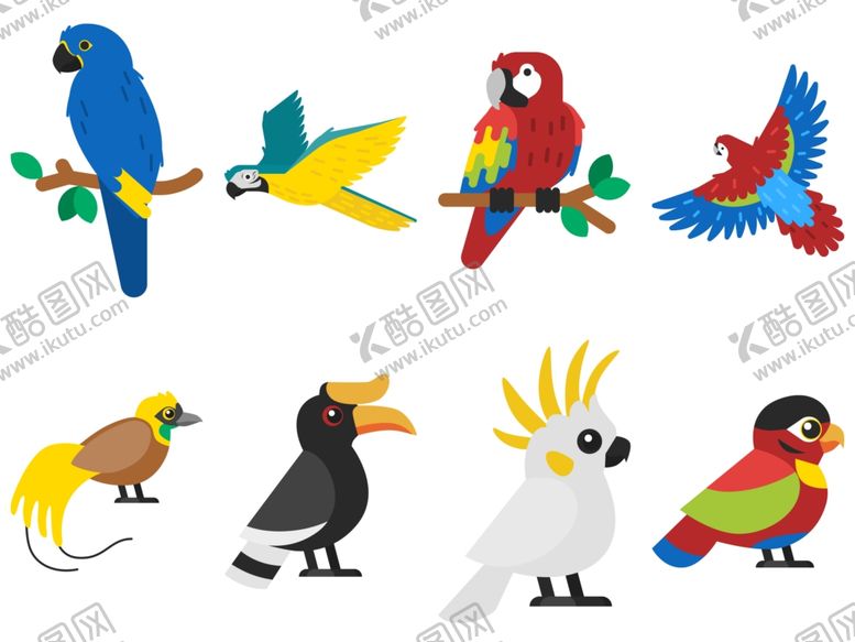 编号：69318406270742111837【酷图网】源文件下载-鹦鹉