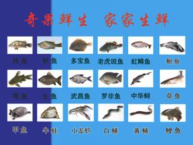 生鲜超市水产