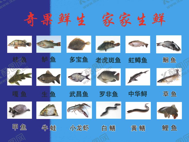 编号：28312607131008081244【酷图网】源文件下载-生鲜超市水产