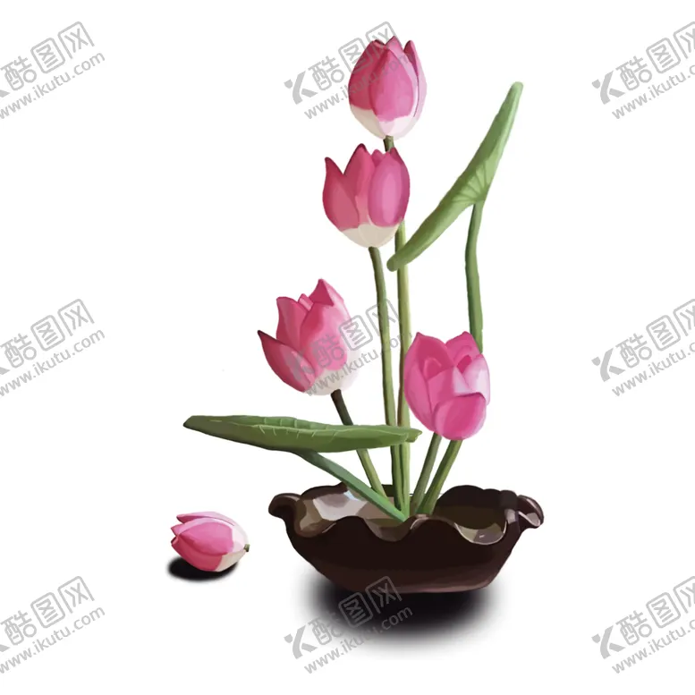 编号：78526012072140432618【酷图网】源文件下载-夏日荷花 
