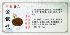 中医功效介绍金银花