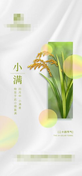 小满节气海报