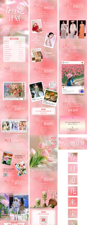 春日追花公众号长图