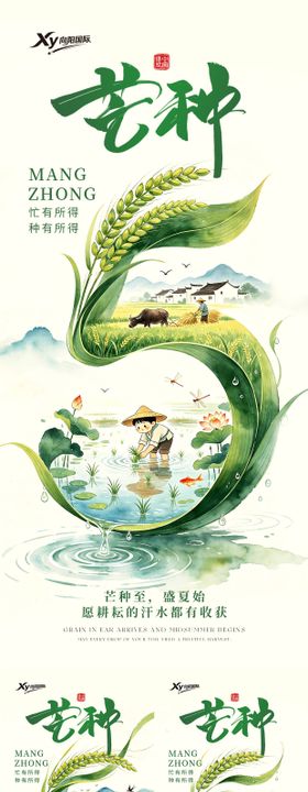 二十四节气芒种系列海报