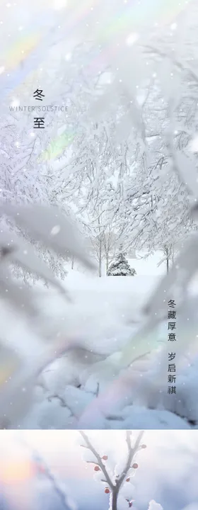 冬至海报