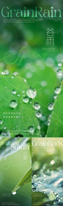 谷雨立夏小满荷花海报