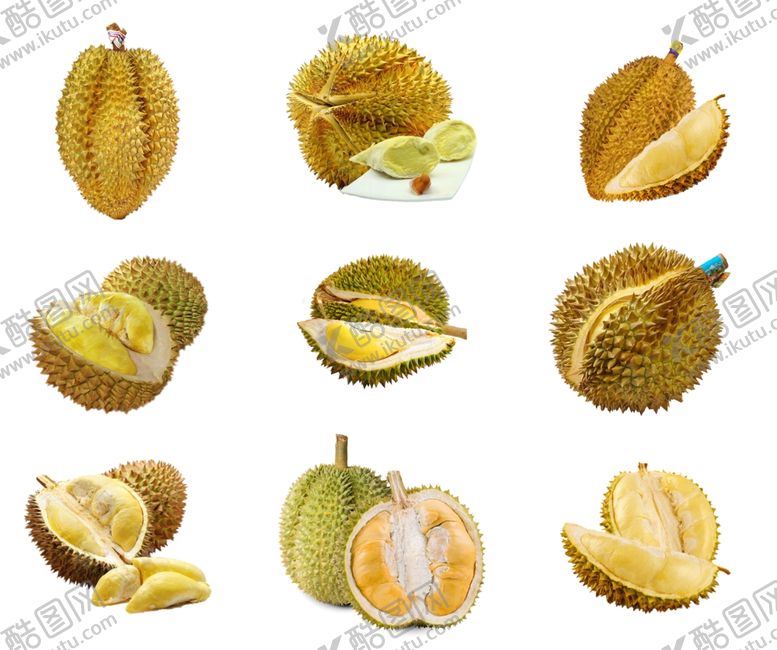 编号：98637710021731375895【酷图网】源文件下载-榴莲